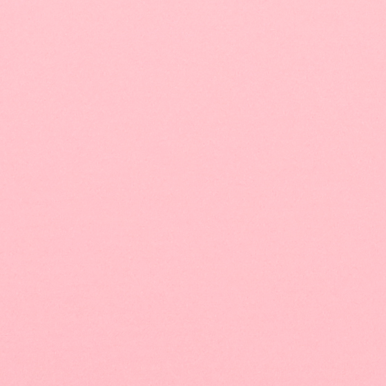 Il colore selezionato per il cartoncino è -- Rosa ghiaccio (#19)