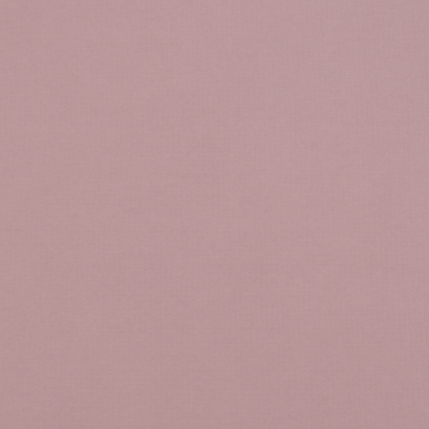 Il colore selezionato per il cartoncino è -- Lavanda (#26)