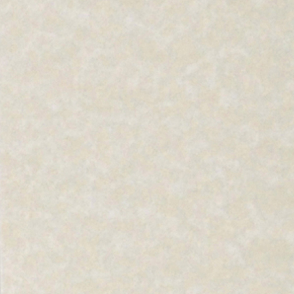 Il colore del cartoncino selezionato è -- Pergamena (#28)