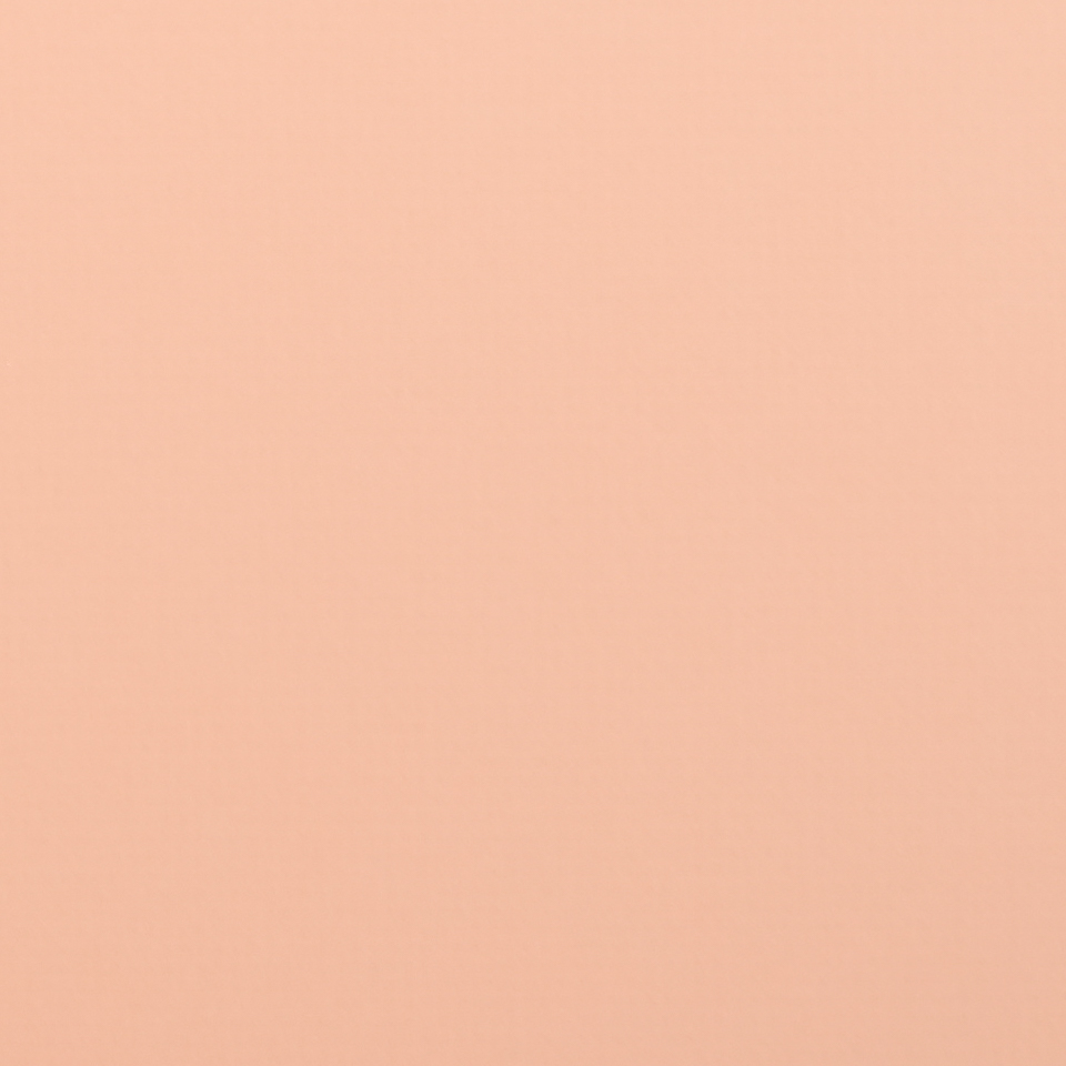 Il colore selezionato per il cartoncino è -- Peach (#25)