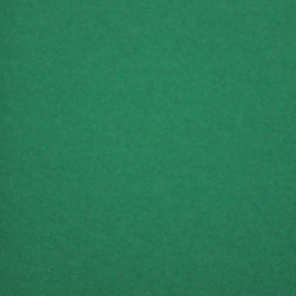 Il colore del cartoncino selezionato è -- Shamrock (#30)